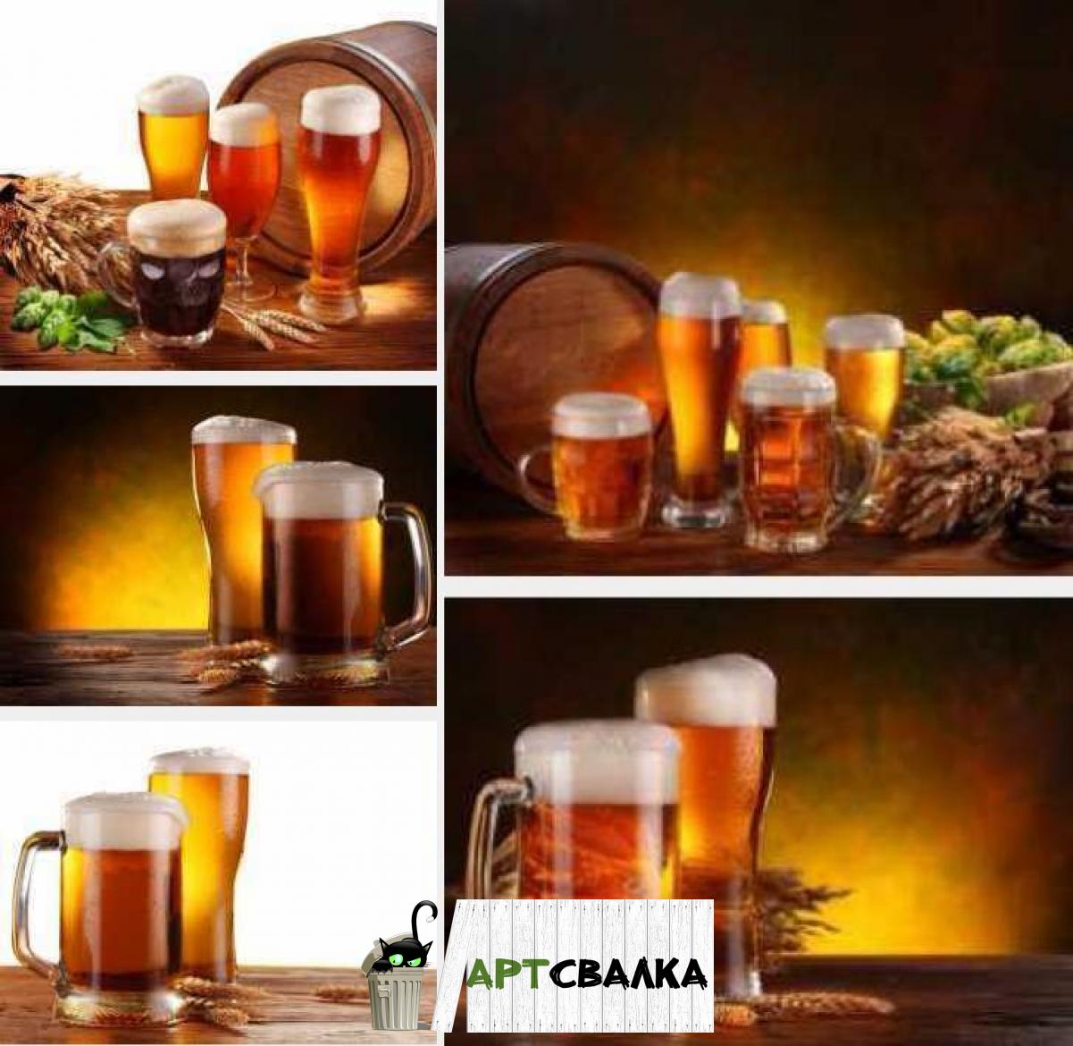 Пиво в бокалах | Beer in glasses